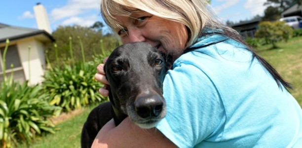 The Greyhound That Took the Hellmuths to Heaven