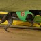 Greyhound of the Month Voting Now Open!