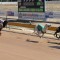 The Truth About the 2013 Ready 2 Race Sales