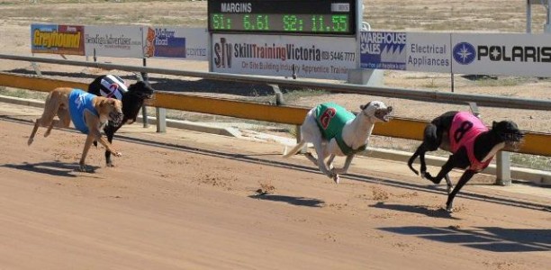 The Truth About the 2013 Ready 2 Race Sales