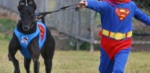 Superman Leaps Back Into the Spotlight