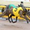 Superstars Retired for Breeding
