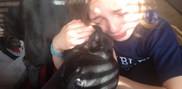 Perfect Progression from Racer to Pet