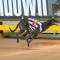 Borg: Passion Key to Success in Sport