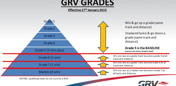 Important Change to the Grading of Victorian Greyhound Races