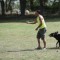 Playing Ball