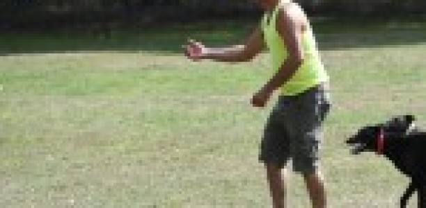 Playing Ball