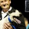 Paw Licking Wins 2014 Most Popular Greyhound