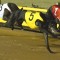 RSN’s Greyhound of the Month Returns