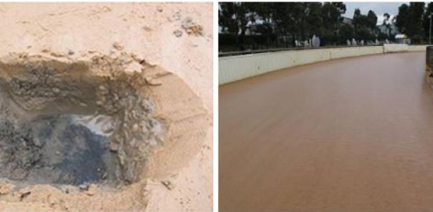 Science and Sand in Victorian Greyhound Racing