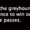 VOTE NOW: RSN People’s Choice Greyhound of the Month July
