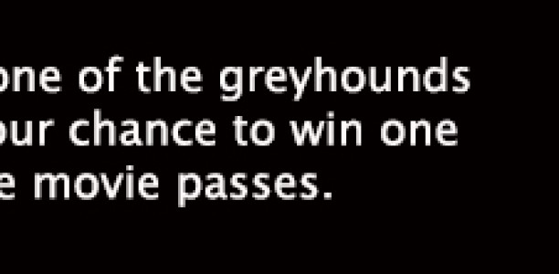 VOTE NOW: RSN People’s Choice Greyhound of the Month July