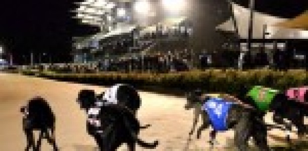 Dalgetty Melbourne Cup Preparation Better than Black Magic Opal’s in 2013: Thompson