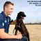 Farewell Kiss as Ready 2 Race Star Retires to Stud