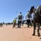 Buyers abuzz as ‘Unknown’ factor engulfs 2015 Ready 2 Race Sales