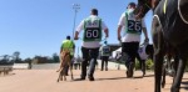 Buyers abuzz as ‘Unknown’ factor engulfs 2015 Ready 2 Race Sales