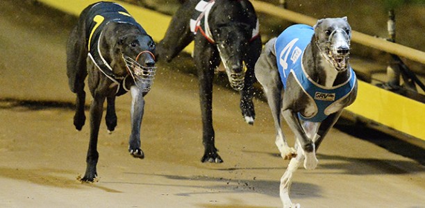 Shepparton Cup Confession: ‘I didn’t think he was good enough to compete at this level’