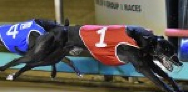 Trainer Moves to Victoria, Zooms to Instant Success