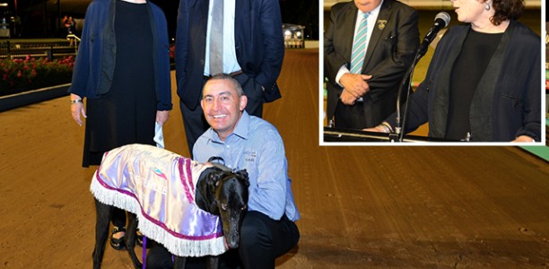 Greyhounds at the Forefront