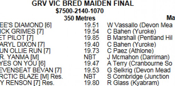 RICH MAIDEN: Vic Bred Final among highlights at Healesville
