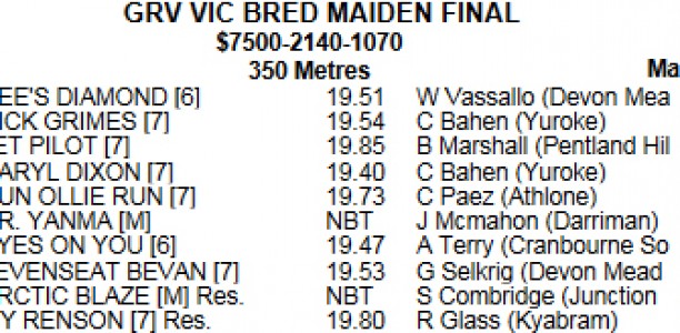 HEALESVILLE MAIDEN: Young Trainer Eyeing her Greyhounds’ Long Term Futures