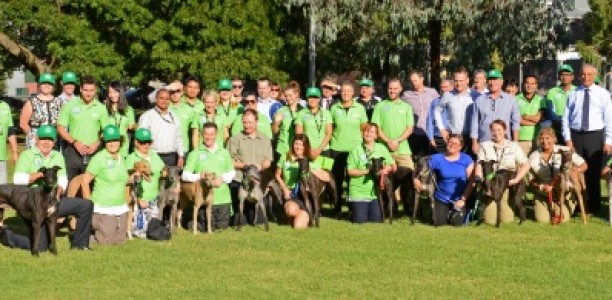 20 YEAR ANNIVERSARY: Significant milestone for Greyhound Adoption Program
