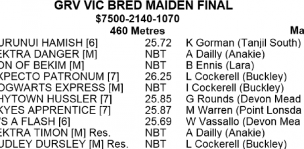 GEELONG VIC BRED MAIDEN: Hurunui Hamish Vies for Three in a Row