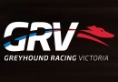 Victoria’s greyhounds to race for the ANZAC Day Appeal
