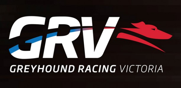 Victoria’s greyhounds to race for the ANZAC Day Appeal