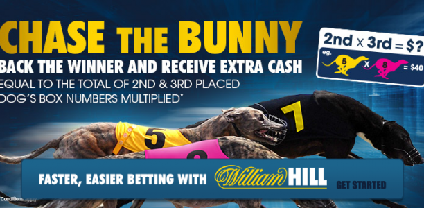Chase the Bunny promo at William Hill offers great value