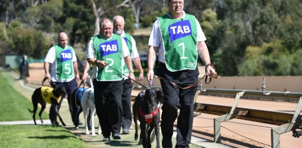 All Aboard the Healesville Greyhound Bus