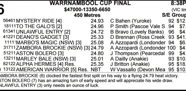WARRNAMBOOL CUP PREVIEW: Zambora Brockie Tipped on Top
