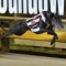 HARRISON-DAWSON: Outsider Dundee Osprey claims first group 1