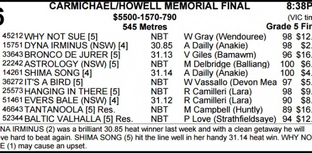 PREVIEW: Promising young stayers feature at Ballarat