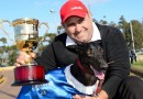 HORSHAM CUP: Zambora Brockie the King of the West