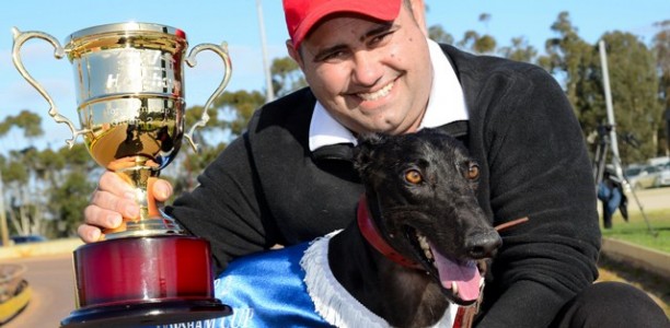 HORSHAM CUP: Zambora Brockie the King of the West