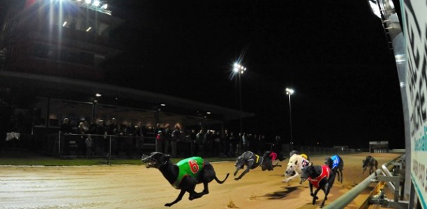TRARALGON CUP: Locals go ‘giddy-up’ as former jockey Gavin Burke trains first group winner!