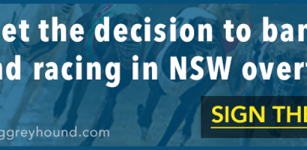 Petition to save greyhound racing in NSW gathering steam
