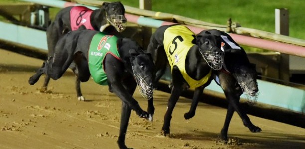 Warrnambool Express wins Group 1 Maturity