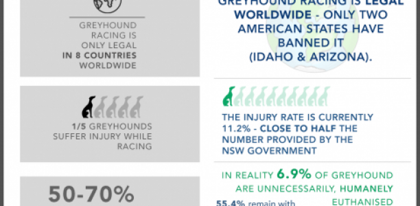 Misleading greyhound figures still being fed to NSW public