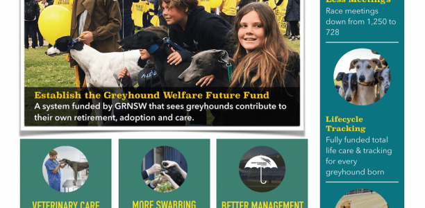 ARG presents proposal to ensure sustainable greyhound racing