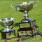 Aiming for the best in Waterloo Cup