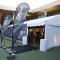 VIDEO: Highlights from the 2015/16 Victorian Greyhound Awards