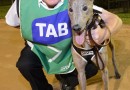 Drought breaker in Melbourne Cup