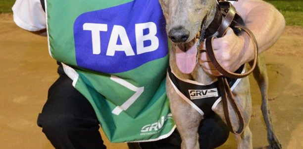 Drought breaker in Melbourne Cup