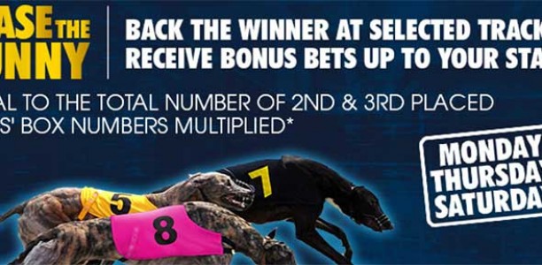 Group 2 Laurels Classic final – heat tips and betting preview