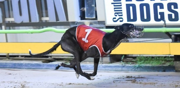 Australian Sprint & Maidment Memorial tips and betting preview