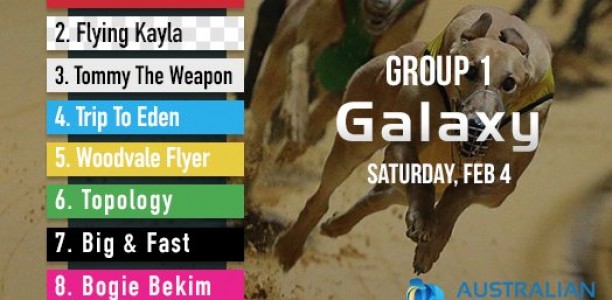 Group 1 Perth Cup and Galaxy final tips and betting preview