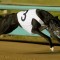 Temlee, Rookie Rebel & Zoom Top tips & betting preview