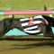 Trip To Eden wins 2017 Group 1 Australian Super Stayers